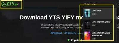 yts.md.webp
