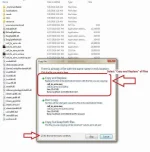 8.webp