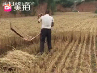 giphy.gif giphy.gif