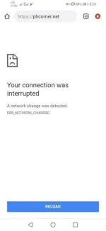 Screenshot_20200425_172400_com.android.chrome.md.webp