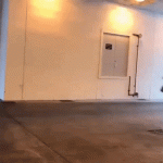 giphy.gif giphy.gif
