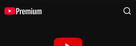 1000024588.webp