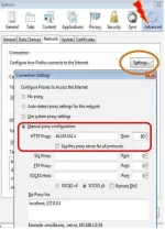 proxy%2Binput%2BFirefox.webp