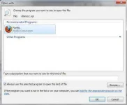 file4.webp