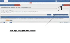 7.webp