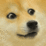 doge_zpseb2dq5bh.gif
