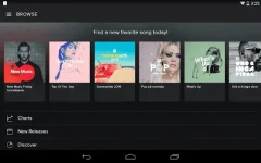 spotify.webp