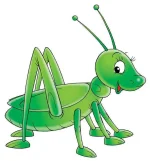 grasshopper.webp