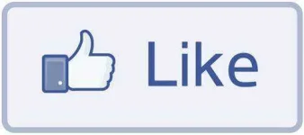 88_facebook_like_button_big.webp