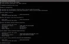 IP-renew-on-cmd-Windows-10.webp