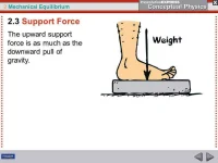 slide_7.webp