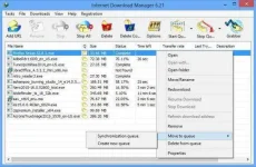 idm_screenshot1.webp