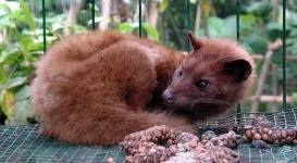 Wants-Amazon-to-Quit-Selling-Civet-Coffee-388501-2.webp