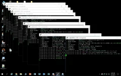 image.webp