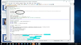 sample.webp