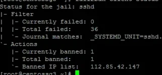gN1U355.webp