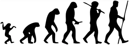 Human-evolution-man.webp