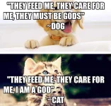 they-feed-me-they-care-for-me-they-must-be-gods-dog-i-am-a-god-cat.webp they-feed-me-they-care-for-me-they-must-be-gods-dog-i-am-a-god-cat.webp