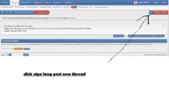 7.webp
