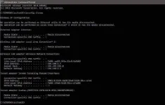 IP-renew-on-cmd-Windows-10.webp