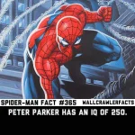 wallcrawlerfacts-20180529-0001.webp