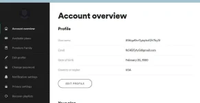 Screenshot 2021-01-13 144411.webp