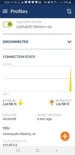 Screenshot_20210113-210430_OpenVPN Connect.webp