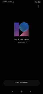Screenshot_2021-01-13-21-08-54-115_com.android.updater.webp