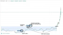 btc_history.jpg