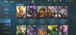 Screenshot_20210114-153444_Mobile Legends Bang Bang.webp