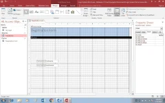 MS ACCESS2.webp
