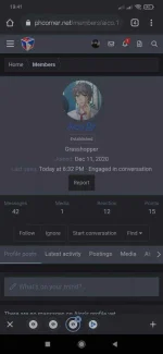 Screenshot_2021-01-14-19-41-08-806_com.android.chrome.webp