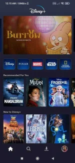 Screenshot_2021-01-15-00-15-01-073_com.disney.disneyplus.webp