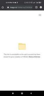 Screenshot_2021-01-16-12-19-36-369_com.android.chrome.webp