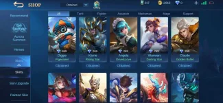 Screenshot_2021-01-17-10-13-53-590_com.mobile.legends.webp