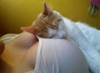 FB_IMG_16108811332964946.webp