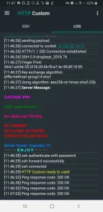 Screenshot_20210118-114709_HTTP Custom.jpg