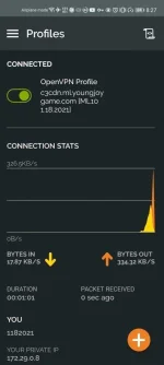 Screenshot_20210118_202754_net.openvpn.openvpn.webp Screenshot_20210118_202754_net.openvpn.openvpn.webp