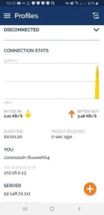 Screenshot_20210122-101353_OpenVPN Connect.webp