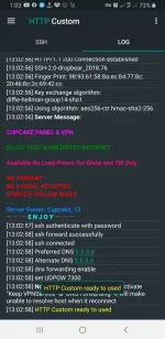 Screenshot_20210121-130301_HTTP Custom.jpg Screenshot_20210121-130301_HTTP Custom.jpg