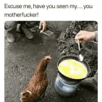 1611312316963.webp