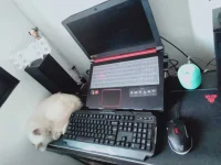 IMG20201027150956.webp