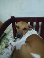IMG20201128112533.jpg