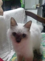 IMG20201128112415.jpg