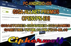 OVPN-EHI2.jpg OVPN-EHI2.jpg