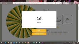 16.webp