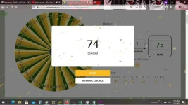 74.webp