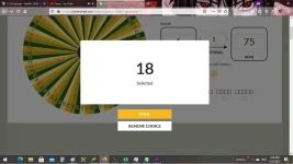 18.webp