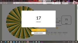17.webp
