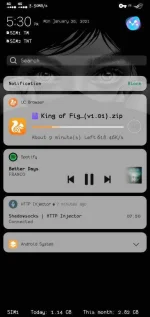 Screenshot_20210125_173011.webp